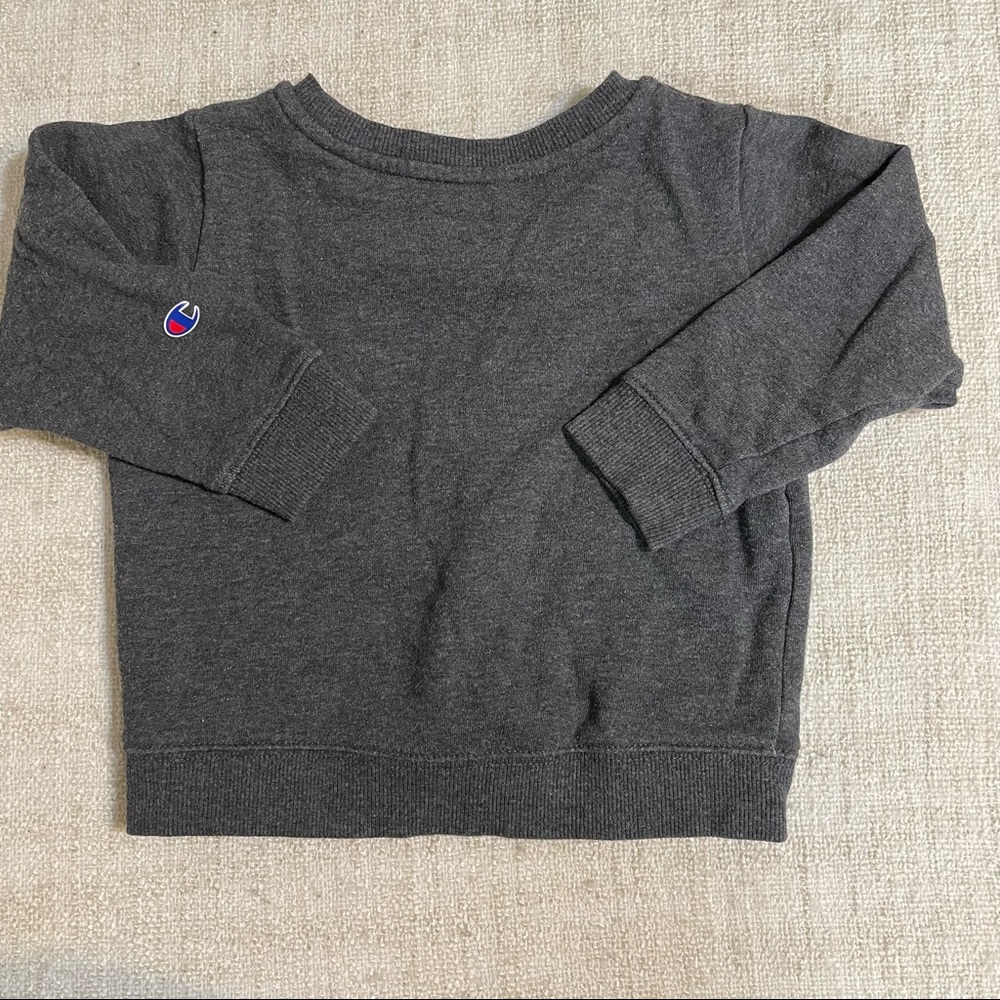 Champion Crewneck Sweatshirt - Picture 2 of 8